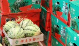 金寨吃瓜最新事件爆料,揭秘背后惊人真相！